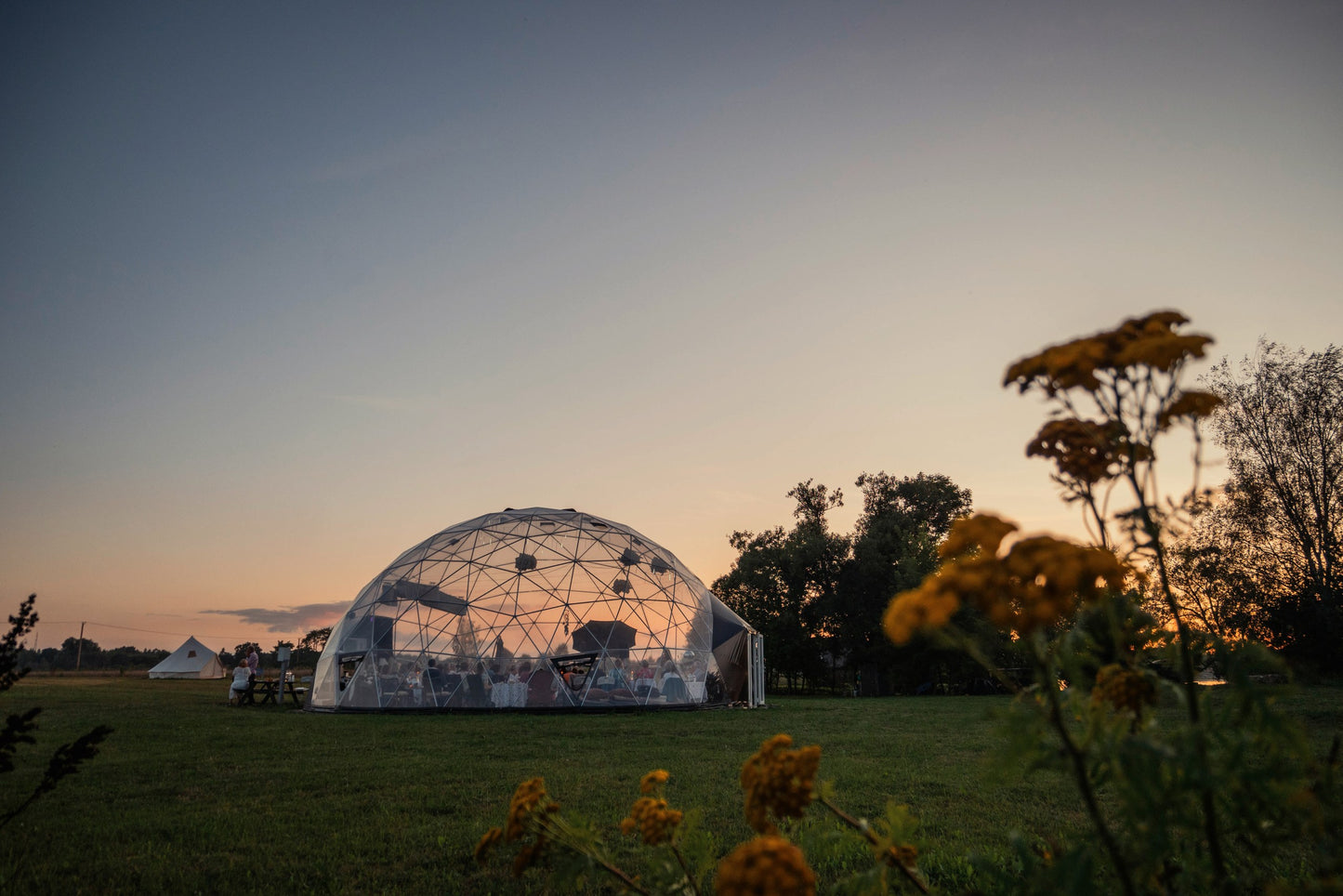 September 7, 7:30 PM Jazz evening with Maxim Bussel