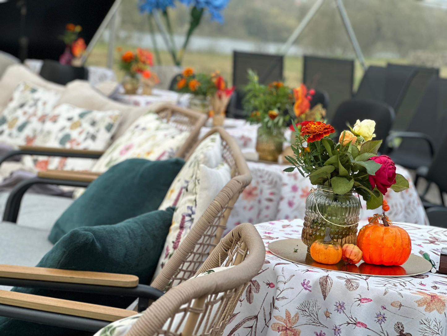 19.10 14:00 Trio Filum Kamermūzika | vijole, alts & čells | stīgu trio